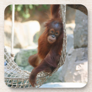 Posavasos OrangUtan 001
