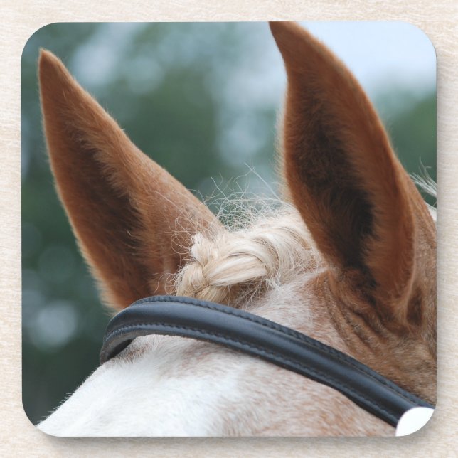 Posavasos orejas (Frente)