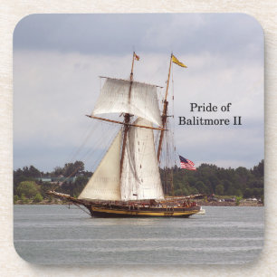 Posavasos Orgullo de los apósitos plásticos Baltimore II 6