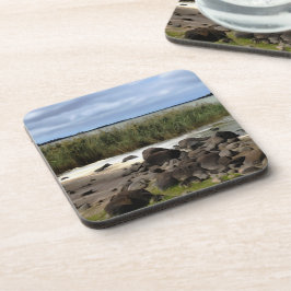 Posavasos Orillas Tranquilas del Lago Bolac