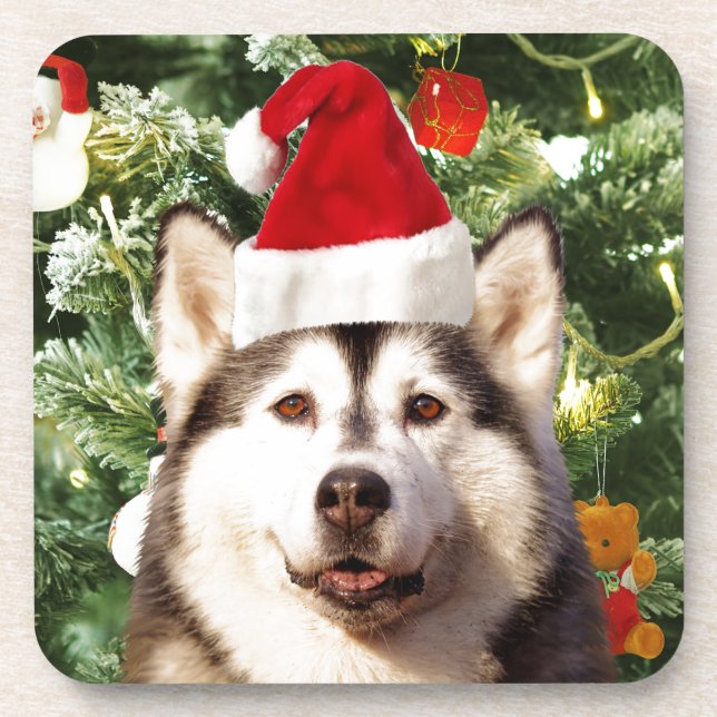 Posavasos Ornamento de árbol de navidad siberiano Husky Snow (Frente)