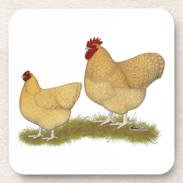 Posavasos Orpingtons Lemon Cuckoo (Frente)