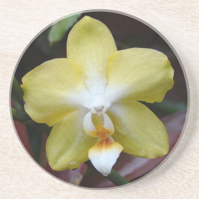 Posavasos Orquídea Amarilla (Frente)