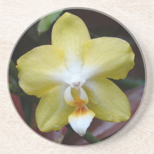 Posavasos Orquídea amarilla preciosa