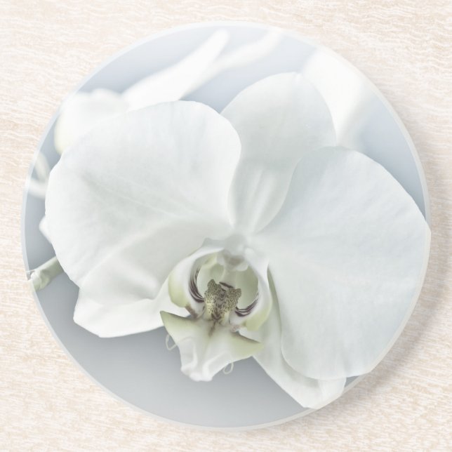 Posavasos Orquídea de faleonopsis blanca (Frente)