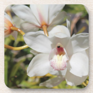 Posavasos Orquídeas