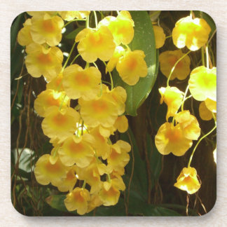Posavasos Orquídeas Amarillas colgando flores tropicales