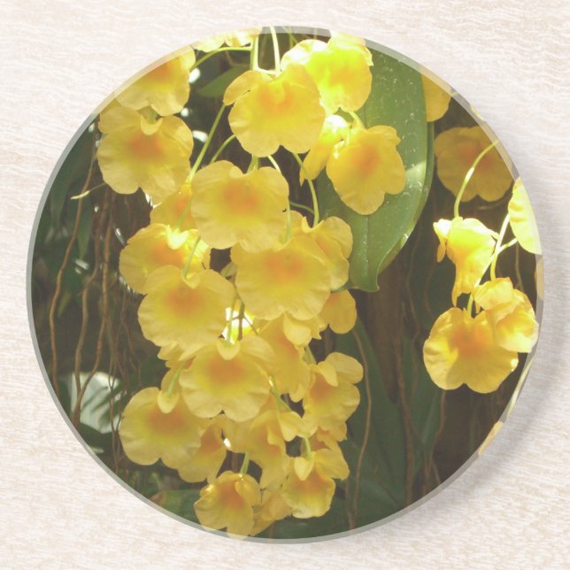 Posavasos Orquídeas Amarillas colgando flores tropicales (Frente)