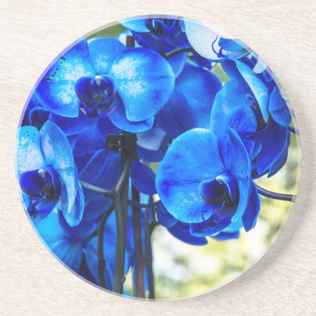 Posavasos Orquídeas azules (Frente)
