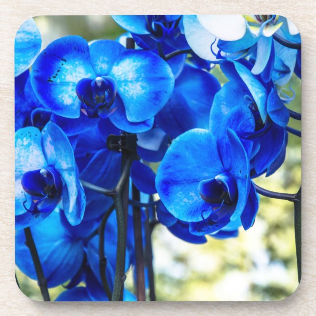 Posavasos Orquídeas azules (Frente)