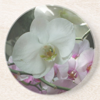Posavasos Orquídeas blancas y moradas