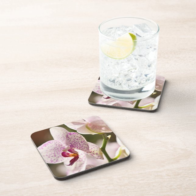 Posavasos orquídeas de Shirley Taylor (Lado Derecho)