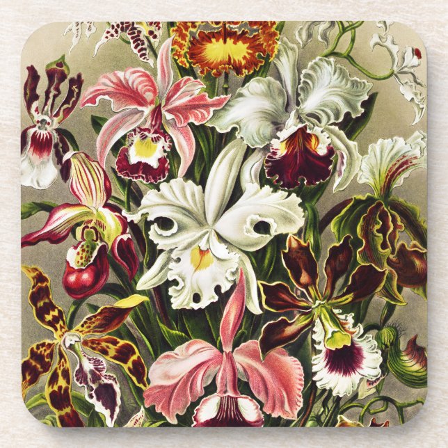 Posavasos Orquídeas Orchideae Denusblumen Ernst Haeckel (Frente)