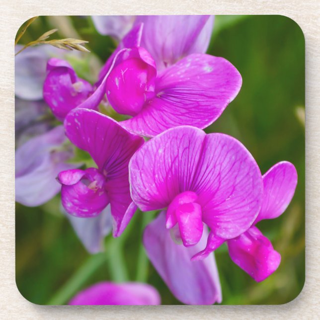 Posavasos Orquídeas Purpúreas (Frente)
