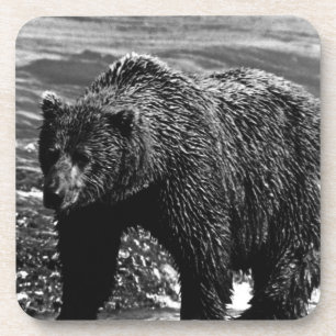 Posavasos Oso marrón vintage de USA Alaska