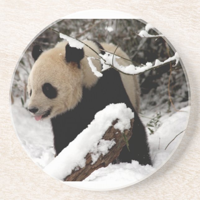 Posavasos Oso Panda (Frente)