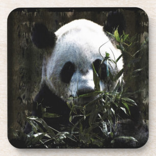 Posavasos Oso panda gigante lindo con hojas de bambú sabrosa