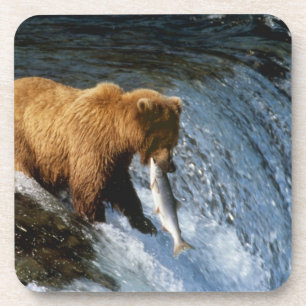Posavasos Oso Pardo de Alaska atrapando salmón en Brooks