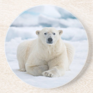 Posavasos Oso polar adulto en el hielo del pack de verano