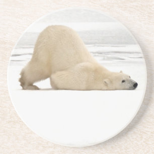 Posavasos Oso polar rascándose en la tundra congelada