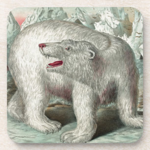Posavasos Oso polar vintage en ilustración de invierno de ic