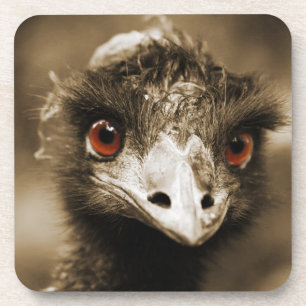 Posavasos Ostriches Look coasters