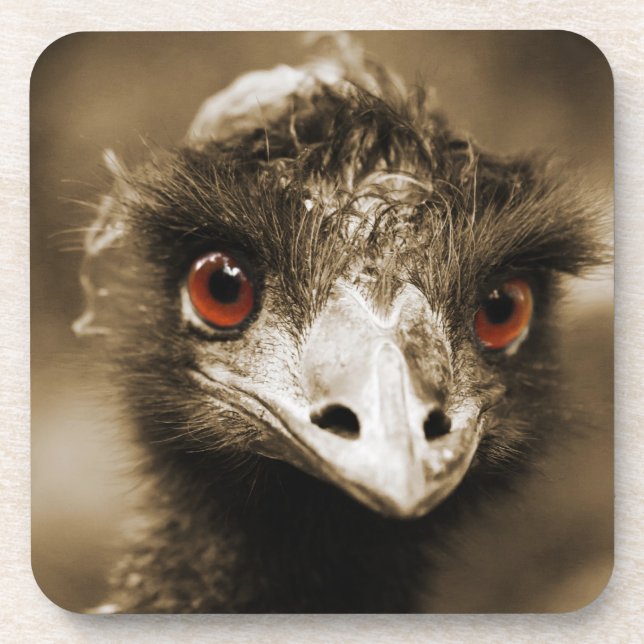 Posavasos Ostriches Mira las galerías (Frente)