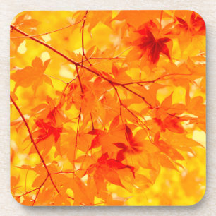 Posavasos Otoño deja color amarillo de caída natural