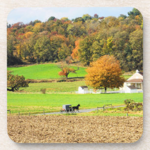 Posavasos Otoño en el condado de Lancaster, PA