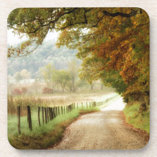 Posavasos Otoño en una carretera rural