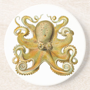 Posavasos Otopus ilustracion antiguo monstruo del mar