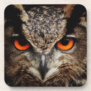 Posavasos OWL stare