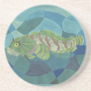Posavasos Oyster Toadfish