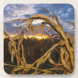 Posavasos Ozarks Harvest