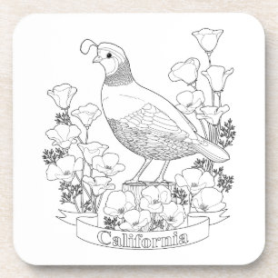 Posavasos Página de Coloración de Aves y Flores del Estado d
