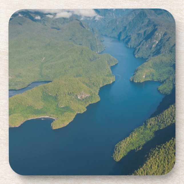 Posavasos Paisaje costero en la selva tropical del oso (Frente)