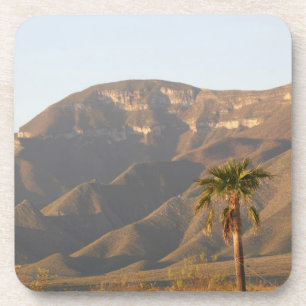 Posavasos Paisaje de rancho desértico cerca de Monterey, Méx