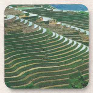 Posavasos Paisaje de terrazas de arroz en la montaña, 3