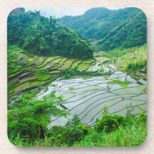 Posavasos Paisaje de terrazas de arroz, Filipinas