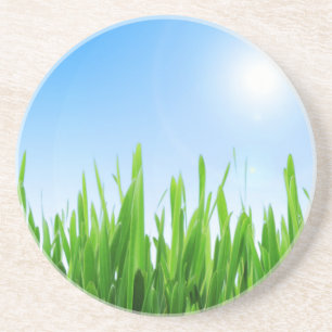 Posavasos Paisaje del cielo azul de la hierba verde-10826