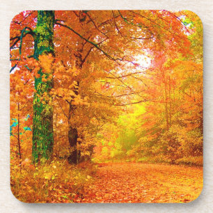 Posavasos Paisaje natural del otoño de Vermont