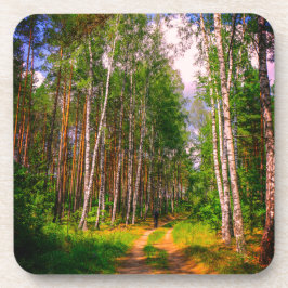 Posavasos Paisaje natural Paisaje paisaje Bosque Birch Bielo