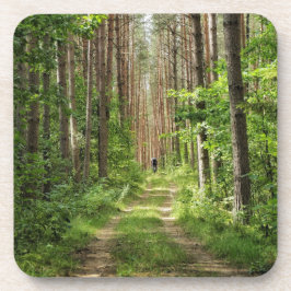 Posavasos Paisaje natural Selva Bielorrusia