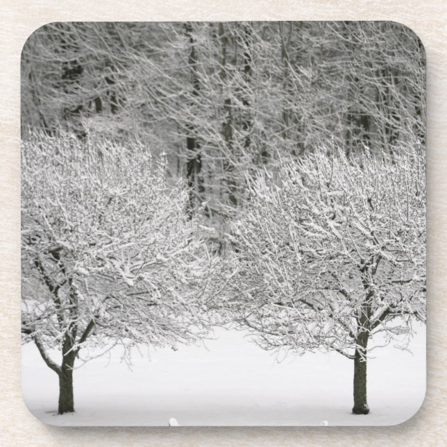 Posavasos Paisaje nevado (Frente)