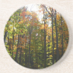 Posavasos Paisaje otoñal del bosque de otoño iluminado por e