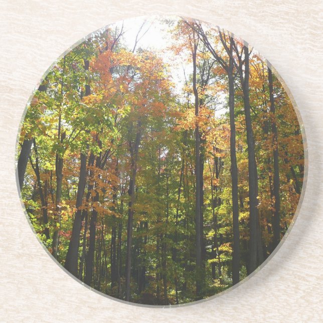 Posavasos Paisaje otoñal del bosque de otoño iluminado por e (Frente)