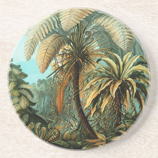 Posavasos Paisaje tropical con palmera (Frente)
