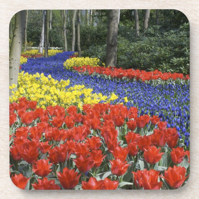 Posavasos Países Bajos, Holanda, Lisse, Keukenhof Gardens (Frente)