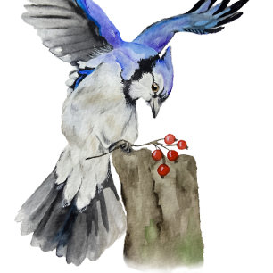 Posavasos Pajarera azul acuarela