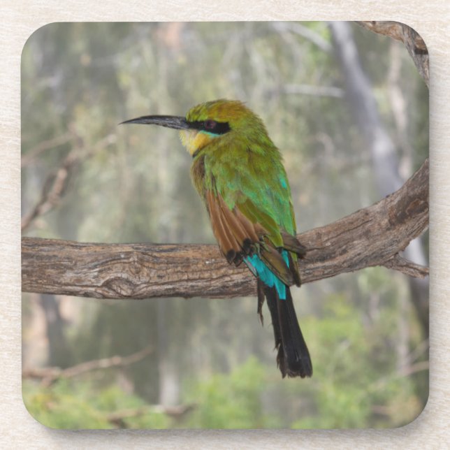 Posavasos Pájaro abejaruco arcoíris, Australia (Frente)